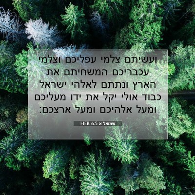 Picture 07 - שמואל א 6:5 HEB - ועשיתם צלמי עפליכם וצלמי - Bible Verse Picture