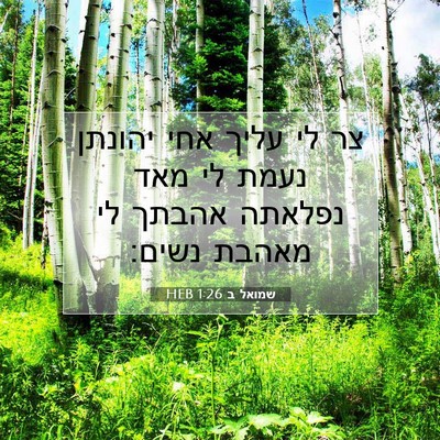 Picture 07 - שמואל ב 1:26 HEB - צר לי עליך אחי יהונתן נעמת - Bible Verse Picture