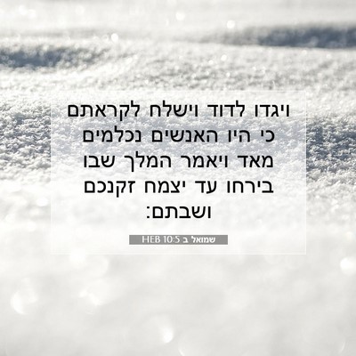 Picture 07 - שמואל ב 10:5 HEB - ויגדו לדוד וישלח לקראתם כי - Bible Verse Picture