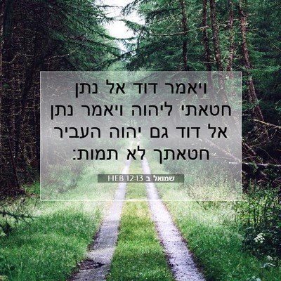 Picture 07 - שמואל ב 12:13 HEB - ויאמר דוד אל נתן חטאתי - Bible Verse Picture