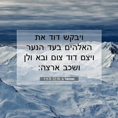 Picture 07 - שמואל ב 12:16 HEB - ויבקש דוד את האלהים בעד - Bible Verse Picture