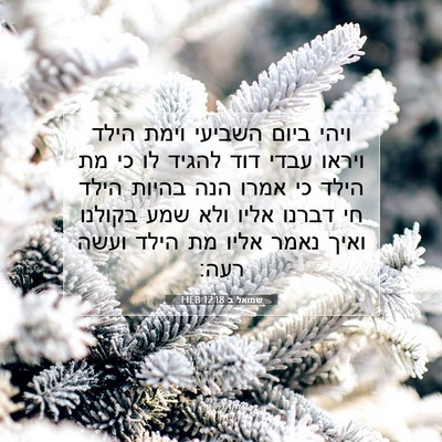 Picture 07 - שמואל ב 12:18 HEB - ויהי ביום השביעי וימת הילד - Bible Verse Picture