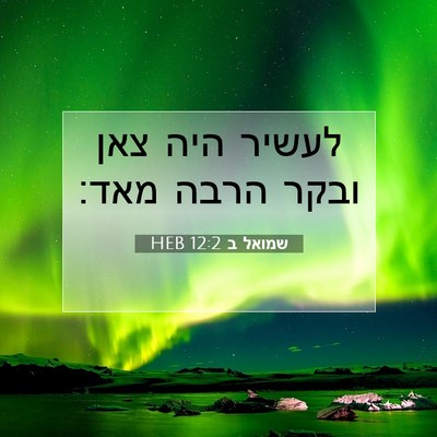 Picture 07 - שמואל ב 12:2 HEB - לעשיר היה צאן ובקר הרבה - Bible Verse Picture