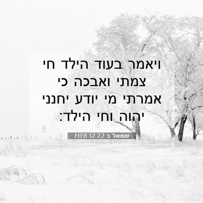 Picture 07 - שמואל ב 12:22 HEB - ויאמר בעוד הילד חי צמתי - Bible Verse Picture
