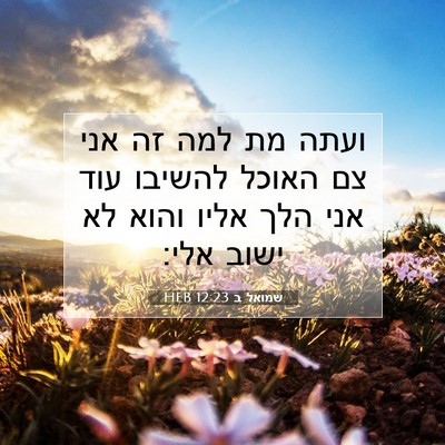 Picture 07 - שמואל ב 12:23 HEB - ועתה מת למה זה אני צם האוכל - Bible Verse Picture
