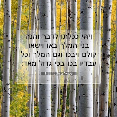 Picture 07 - שמואל ב 13:36 HEB - ויהי ככלתו לדבר והנה בני - Bible Verse Picture