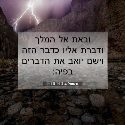 Picture 07 - שמואל ב 14:3 HEB - ובאת אל המלך ודברת אליו - Bible Verse Picture