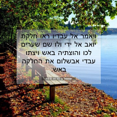 Picture 07 - שמואל ב 14:30 HEB - ויאמר אל עבדיו ראו חלקת - Bible Verse Picture