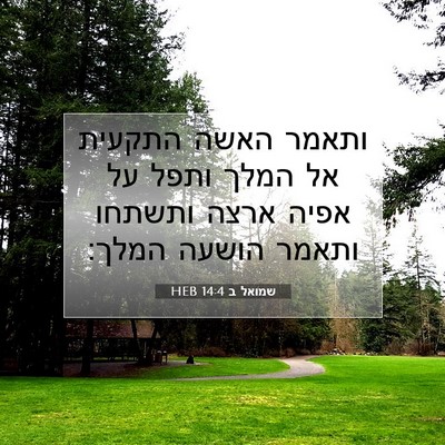 Picture 07 - שמואל ב 14:4 HEB - ותאמר האשה התקעית אל המלך - Bible Verse Picture