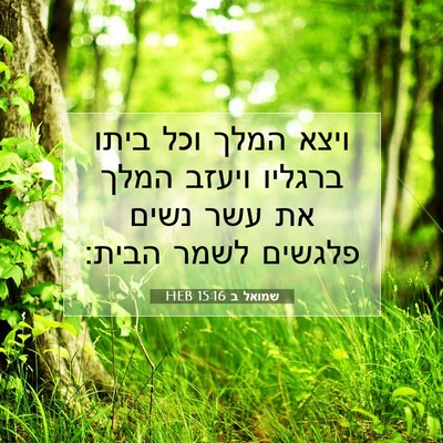Picture 07 - שמואל ב 15:16 HEB - ויצא המלך וכל ביתו ברגליו - Bible Verse Picture
