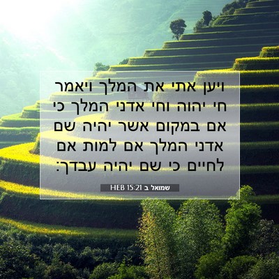 Picture 07 - שמואל ב 15:21 HEB - ויען אתי את המלך ויאמר חי - Bible Verse Picture