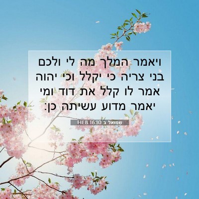 Picture 07 - שמואל ב 16:10 HEB - ויאמר המלך מה לי ולכם בני - Bible Verse Picture