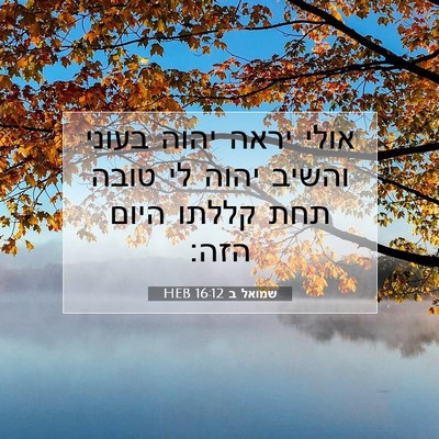 Picture 07 - שמואל ב 16:12 HEB - אולי יראה יהוה בעוני והשיב - Bible Verse Picture
