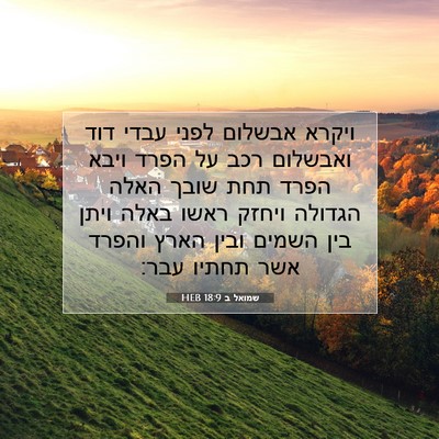 Picture 07 - שמואל ב 18:9 HEB - ויקרא אבשלום לפני עבדי דוד - Bible Verse Picture