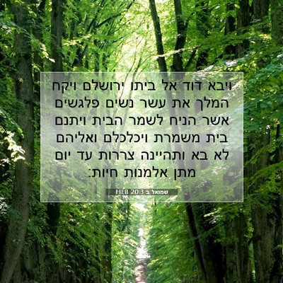 Picture 07 - שמואל ב 20:3 HEB - ויבא דוד אל ביתו ירושלם - Bible Verse Picture