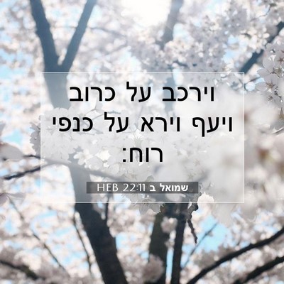 Picture 07 - שמואל ב 22:11 HEB - וירכב על כרוב ויעף וירא על - Bible Verse Picture
