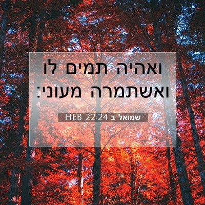 Picture 07 - שמואל ב 22:24 HEB - ואהיה תמים לו ואשתמרה - Bible Verse Picture