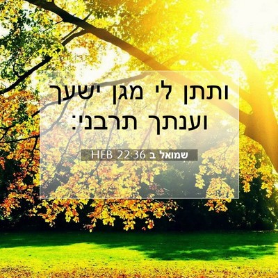 Picture 07 - שמואל ב 22:36 HEB - ותתן לי מגן ישעך וענתך - Bible Verse Picture