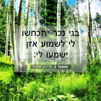 Picture 07 - שמואל ב 22:45 HEB - בני נכר יתכחשו לי לשמוע אזן - Bible Verse Picture
