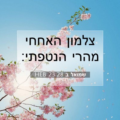 Picture 07 - שמואל ב 23:28 HEB - צלמון האחחי מהרי - Bible Verse Picture