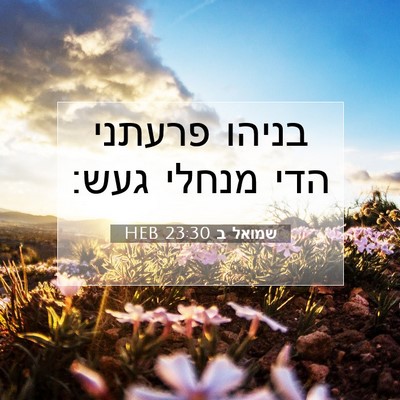 Picture 07 - שמואל ב 23:30 HEB - בניהו פרעתני הדי מנחלי - Bible Verse Picture