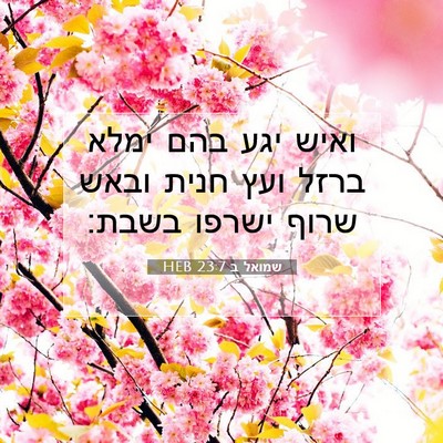 Picture 07 - שמואל ב 23:7 HEB - ואיש יגע בהם ימלא ברזל ועץ - Bible Verse Picture