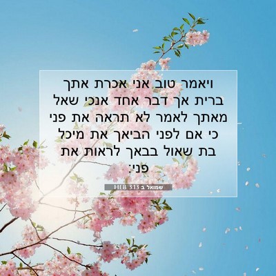 Picture 07 - שמואל ב 3:13 HEB - ויאמר טוב אני אכרת אתך ברית - Bible Verse Picture