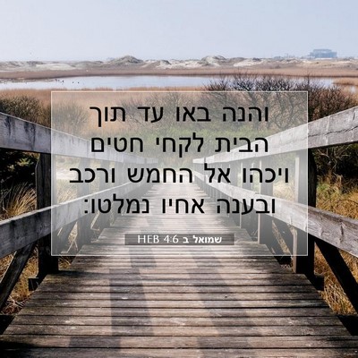 Picture 07 - שמואל ב 4:6 HEB - והנה באו עד תוך הבית לקחי - Bible Verse Picture