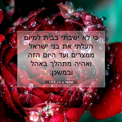 Picture 07 - שמואל ב 7:6 HEB - כי לא ישבתי בבית למיום - Bible Verse Picture