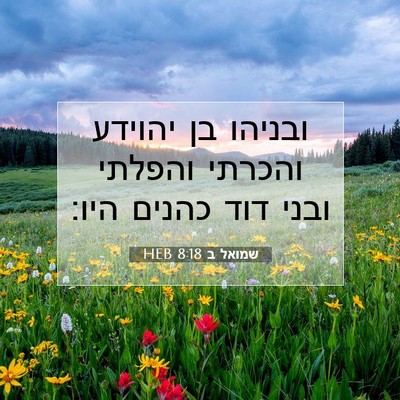 Picture 07 - שמואל ב 8:18 HEB - ובניהו בן יהוידע והכרתי - Bible Verse Picture