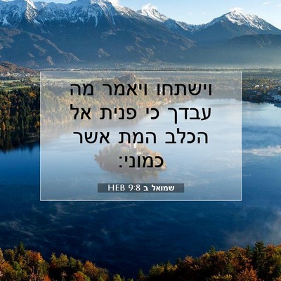 Picture 07 - שמואל ב 9:8 HEB - וישתחו ויאמר מה עבדך כי - Bible Verse Picture