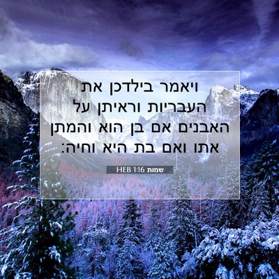 Picture 07 - שמות 1:16 HEB - ויאמר בילדכן את העבריות - Bible Verse Picture