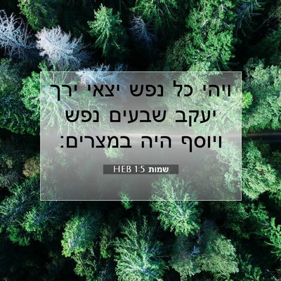Picture 07 - שמות 1:5 HEB - ויהי כל נפש יצאי ירך יעקב - Bible Verse Picture
