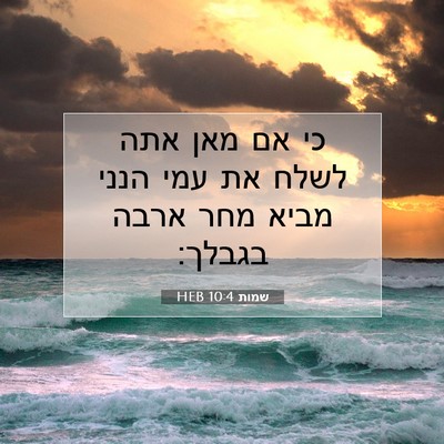 Picture 07 - שמות 10:4 HEB - כי אם מאן אתה לשלח את עמי - Bible Verse Picture