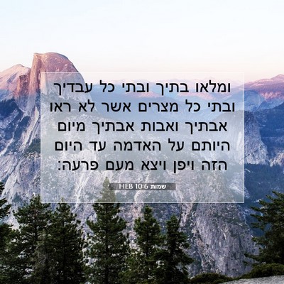 Picture 07 - שמות 10:6 HEB - ומלאו בתיך ובתי כל עבדיך - Bible Verse Picture