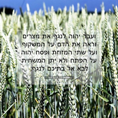 Picture 07 - שמות 12:23 HEB - ועבר יהוה לנגף את מצרים - Bible Verse Picture