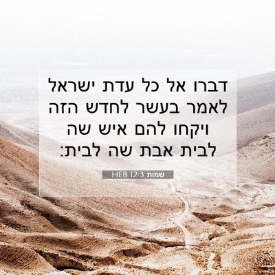 Picture 07 - שמות 12:3 HEB - דברו אל כל עדת ישראל לאמר - Bible Verse Picture
