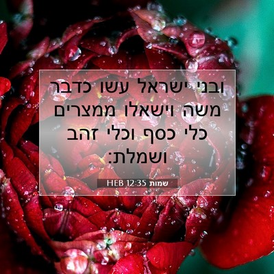 Picture 07 - שמות 12:35 HEB - ובני ישראל עשו כדבר משה - Bible Verse Picture