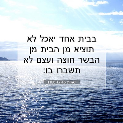Picture 07 - שמות 12:46 HEB - בבית אחד יאכל לא תוציא מן - Bible Verse Picture