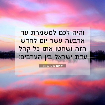 Picture 07 - שמות 12:6 HEB - והיה לכם למשמרת עד ארבעה - Bible Verse Picture