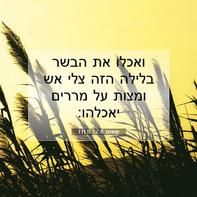 Picture 07 - שמות 12:8 HEB - ואכלו את הבשר בלילה הזה צלי - Bible Verse Picture