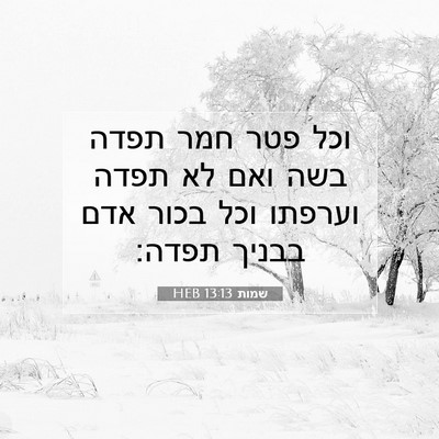 Picture 07 - שמות 13:13 HEB - וכל פטר חמר תפדה בשה ואם לא - Bible Verse Picture
