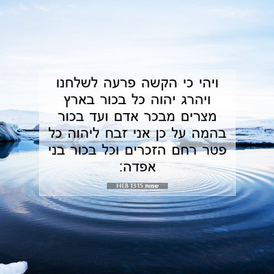 Picture 07 - שמות 13:15 HEB - ויהי כי הקשה פרעה לשלחנו - Bible Verse Picture