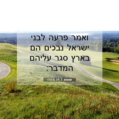 Picture 07 - שמות 14:3 HEB - ואמר פרעה לבני ישראל נבכים - Bible Verse Picture