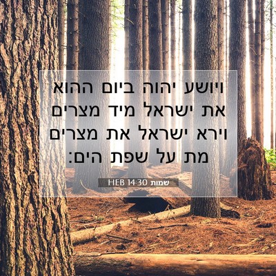 Picture 07 - שמות 14:30 HEB - ויושע יהוה ביום ההוא את - Bible Verse Picture