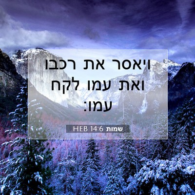 Picture 07 - שמות 14:6 HEB - ויאסר את רכבו ואת עמו לקח - Bible Verse Picture
