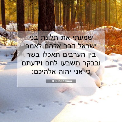 Picture 07 - שמות 16:12 HEB - שמעתי את תלונת בני ישראל - Bible Verse Picture
