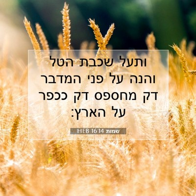 Picture 07 - שמות 16:14 HEB - ותעל שכבת הטל והנה על פני - Bible Verse Picture