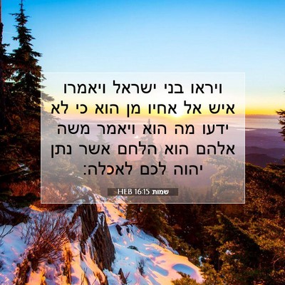 Picture 07 - שמות 16:15 HEB - ויראו בני ישראל ויאמרו איש - Bible Verse Picture