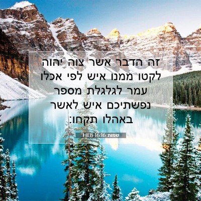 Picture 07 - שמות 16:16 HEB - זה הדבר אשר צוה יהוה לקטו - Bible Verse Picture